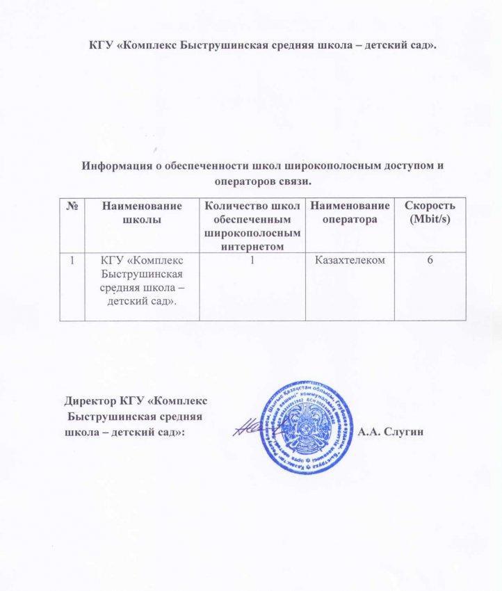 Уровень обеспеченности школы широкополосным интернетом, операторы связи